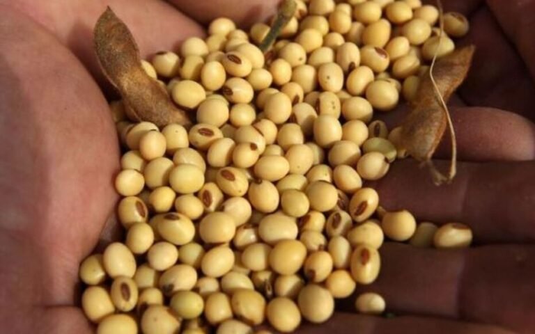 WhatsApp Image 2026-01-22 at 14.19.32